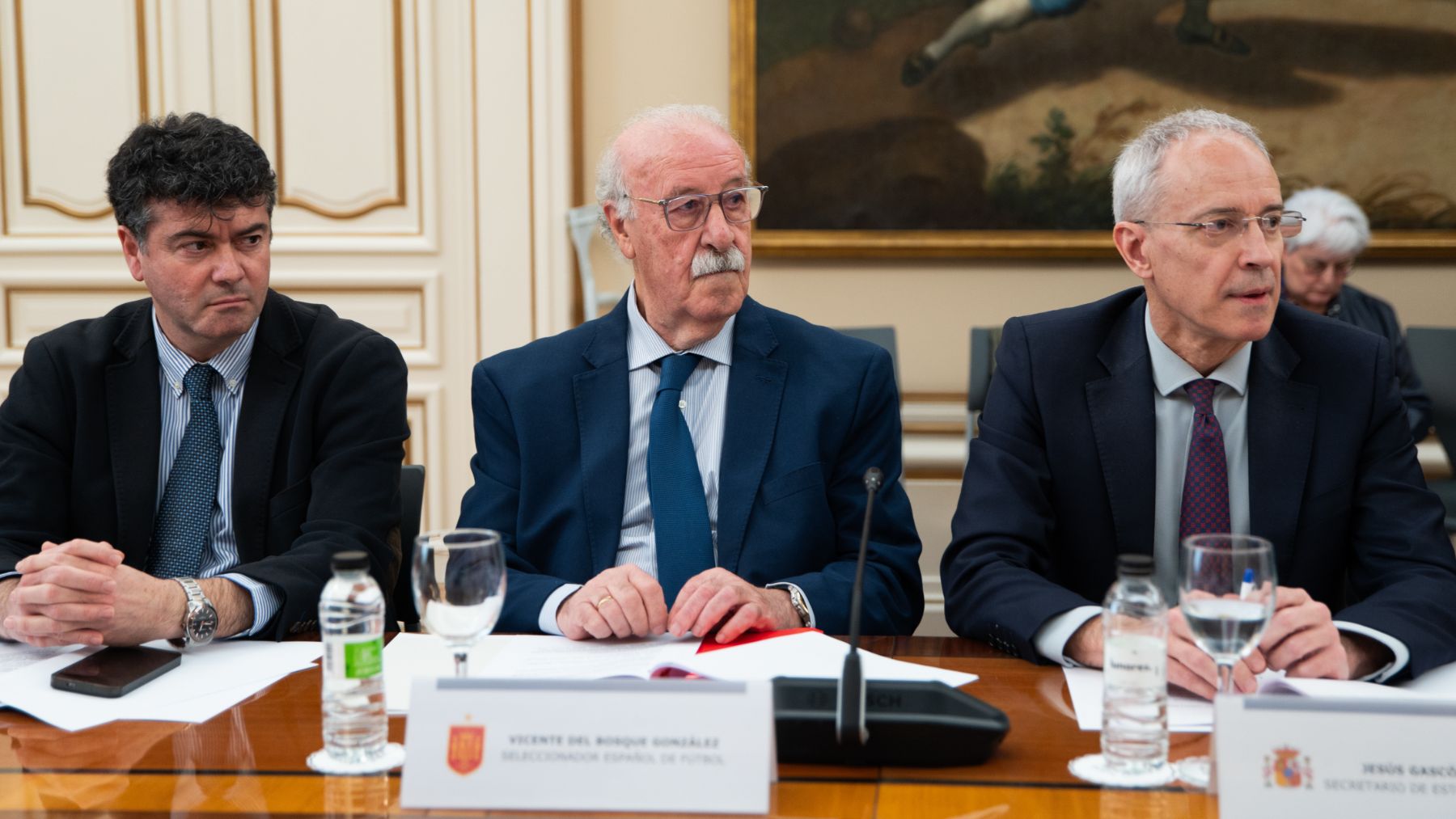 Vicente del Bosque
