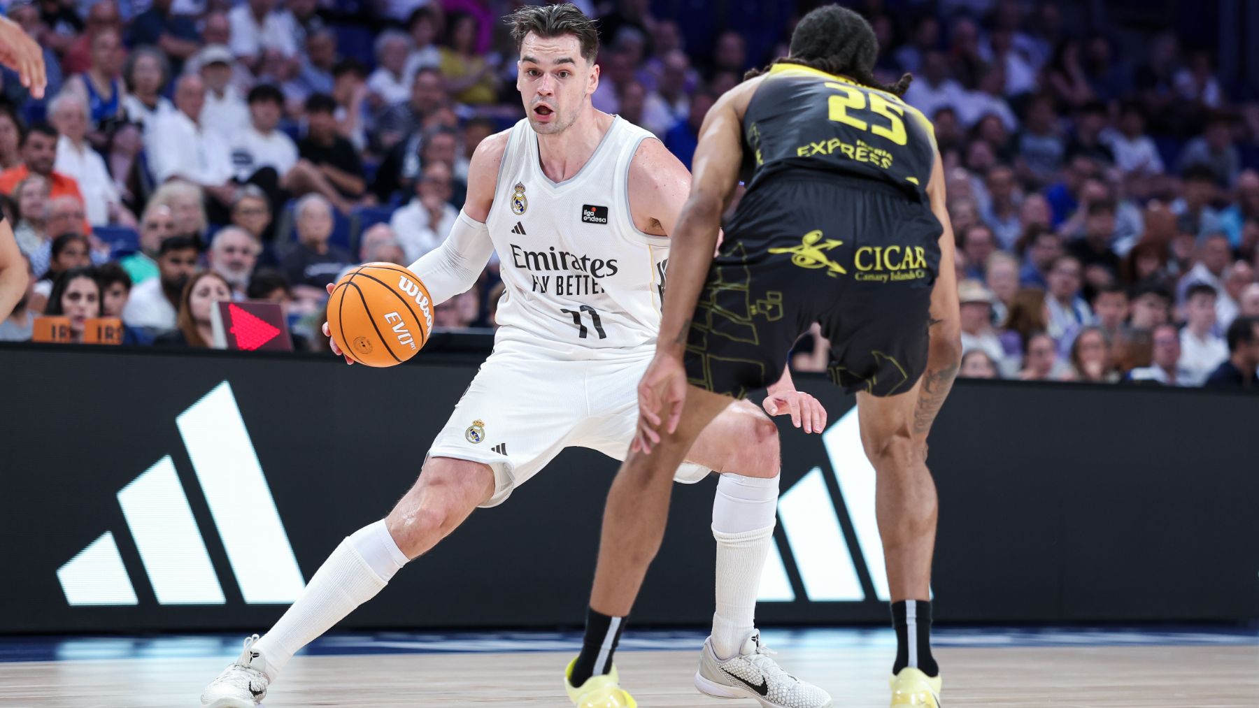 Hezonja