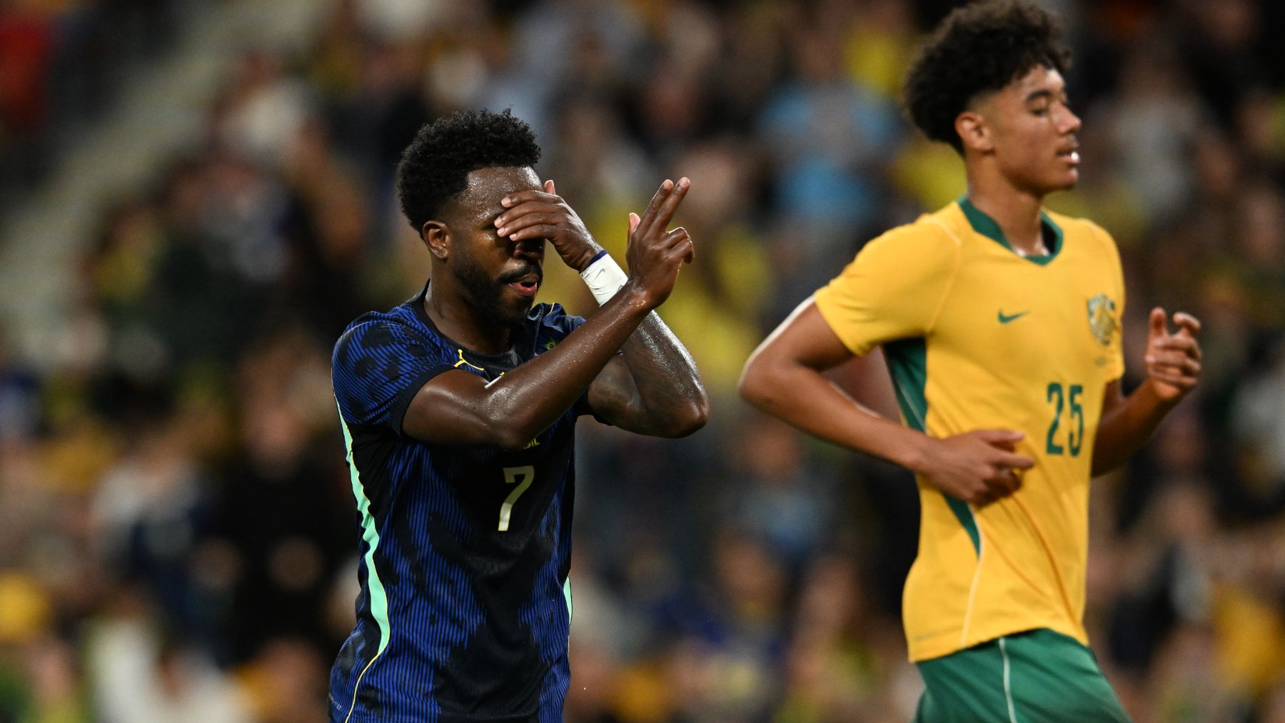 Vinicius Brasil