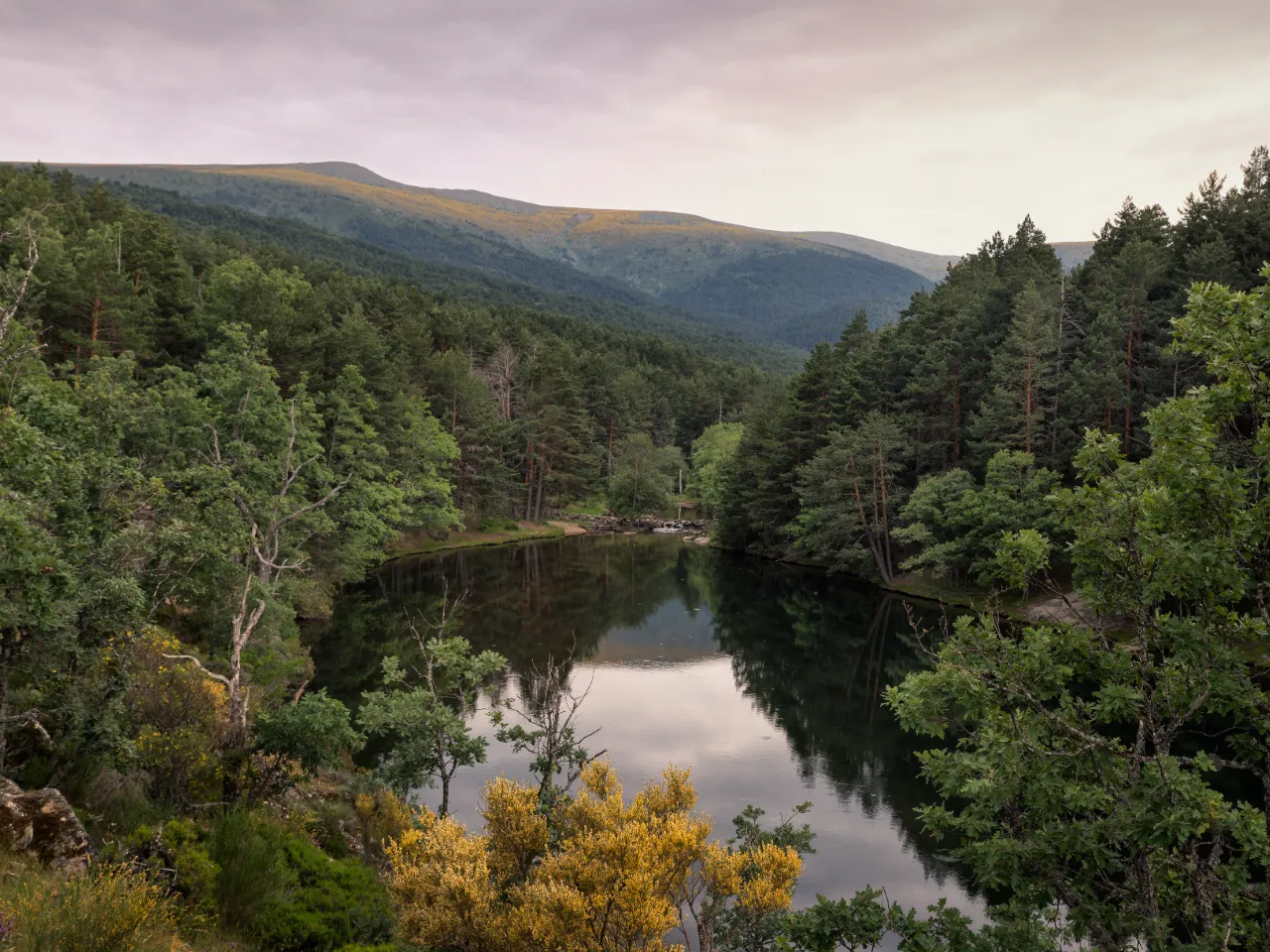 Rascafria @AdobeStock
