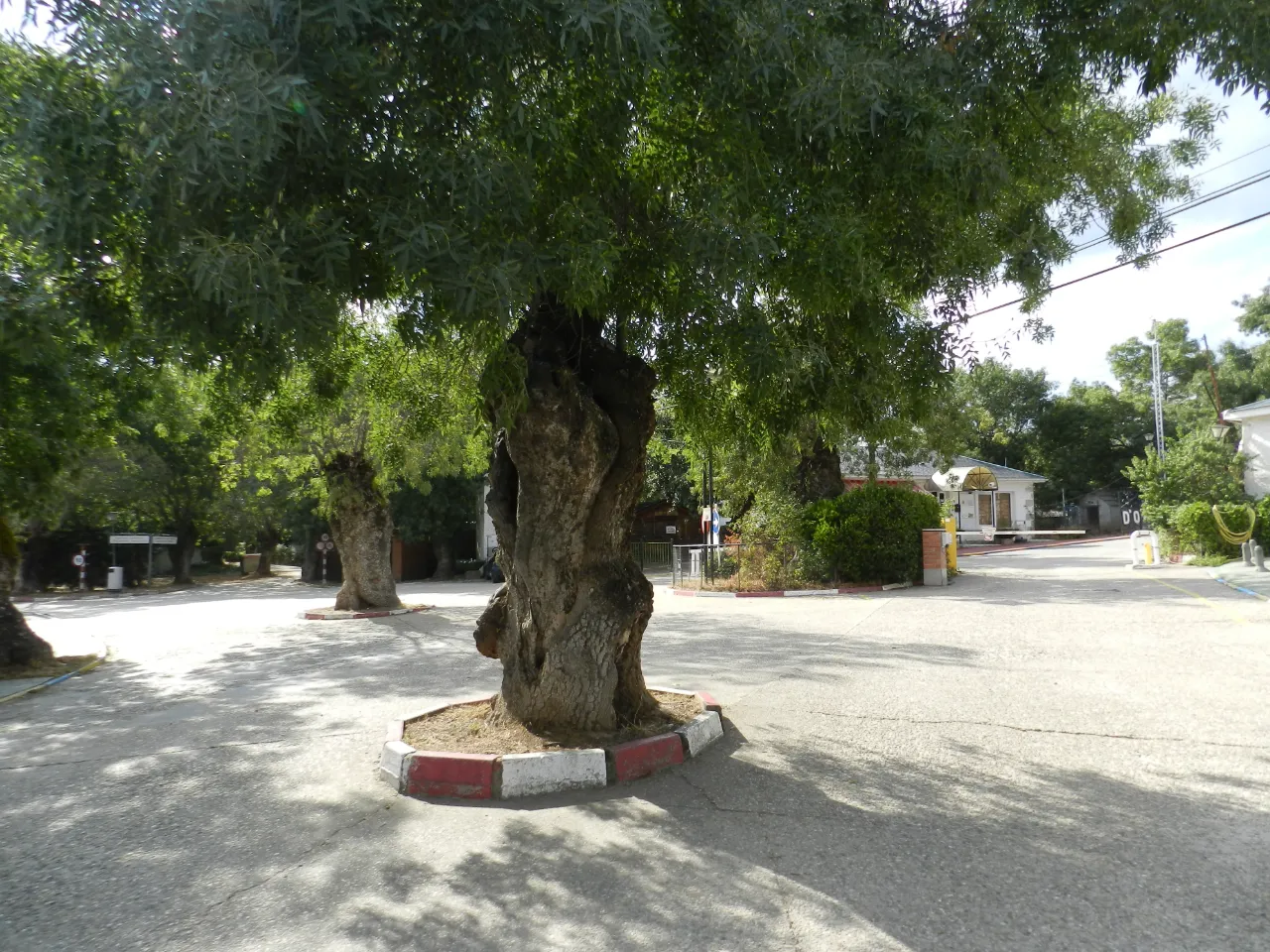 Camping D'Oremor @Camping D'Oremor
