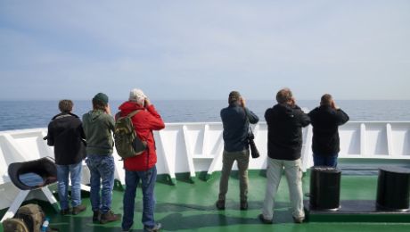 La OMS sospecha que ha habido una &laquo;rara transmisi&oacute;n&raquo; de hantavirus de persona a persona en el crucero