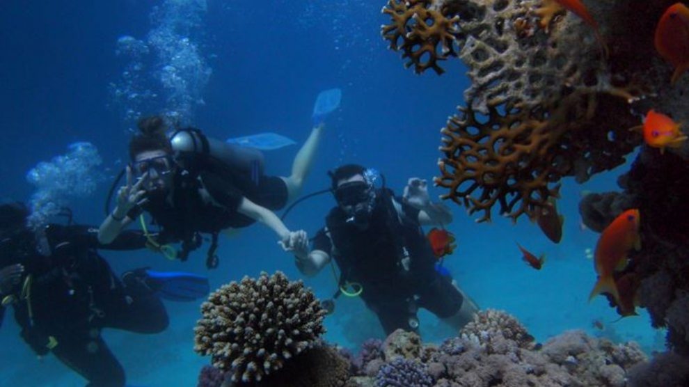 El buceo puede practicarse como actividad de ocio o bien de competición.