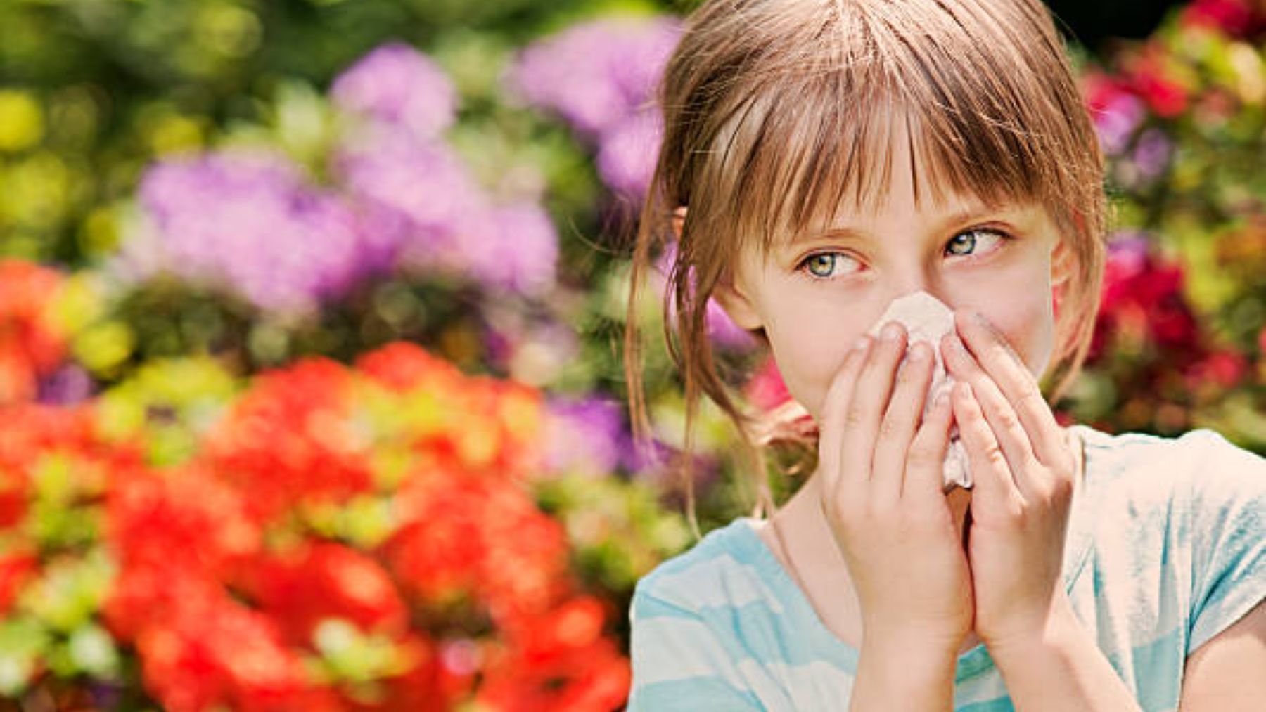 Летний насморк. Аллергические заболевания органов дыхания у детей. Аллергический ринит картинки.