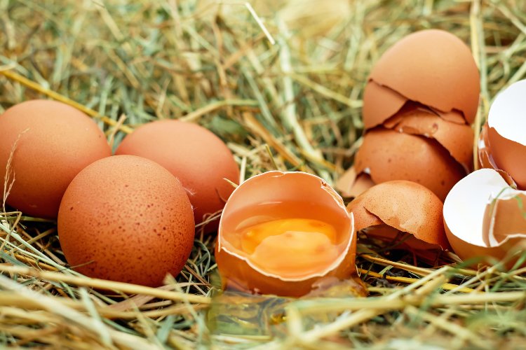 Estos son los alimentos con más proteínas