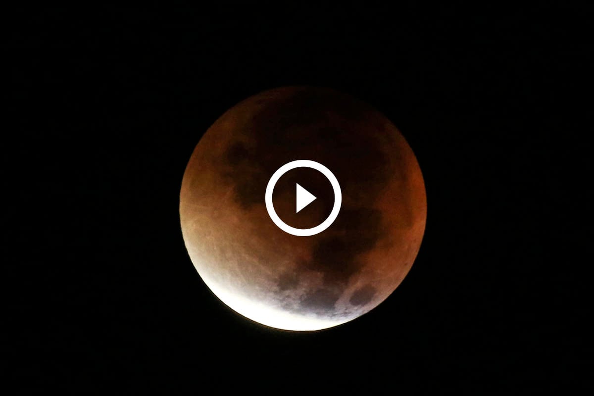 Vídeo del eclipse lunar de la pasada madrugada (Foto: Getty)