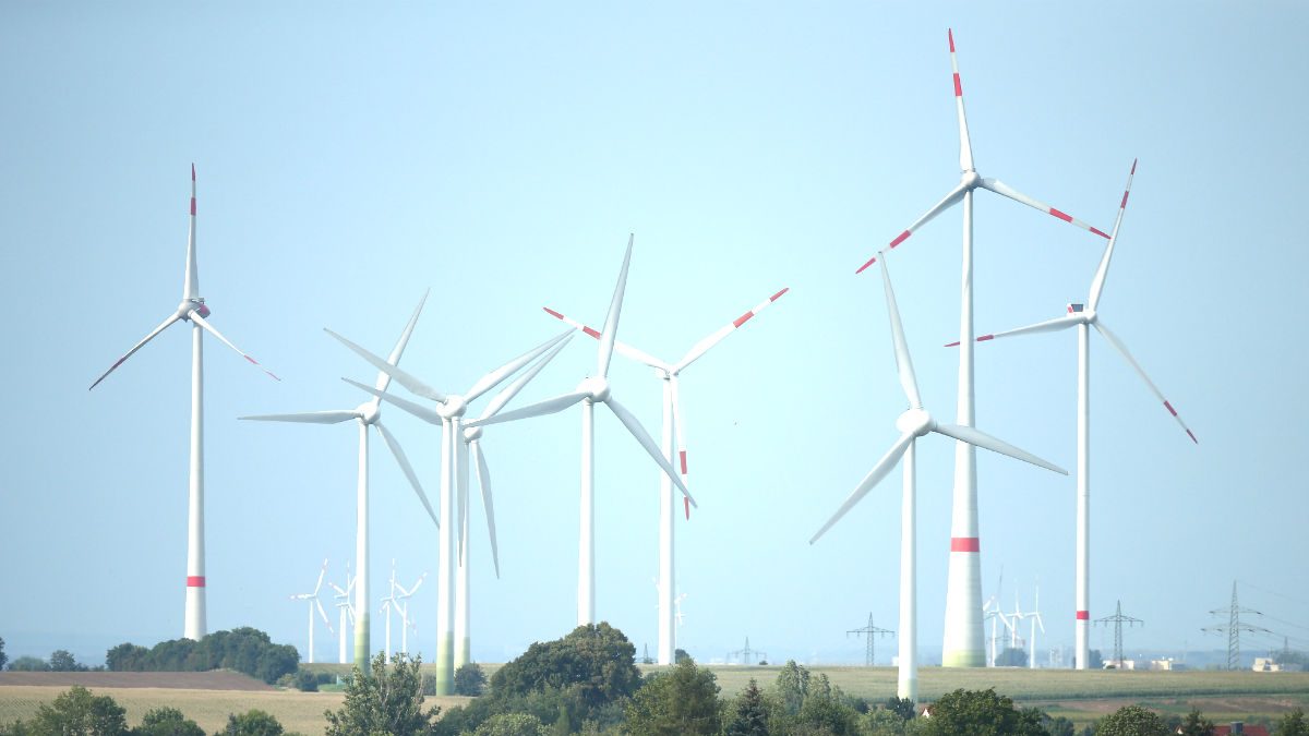 Molinos de viento para generar electricidad (Foto: GETTY).