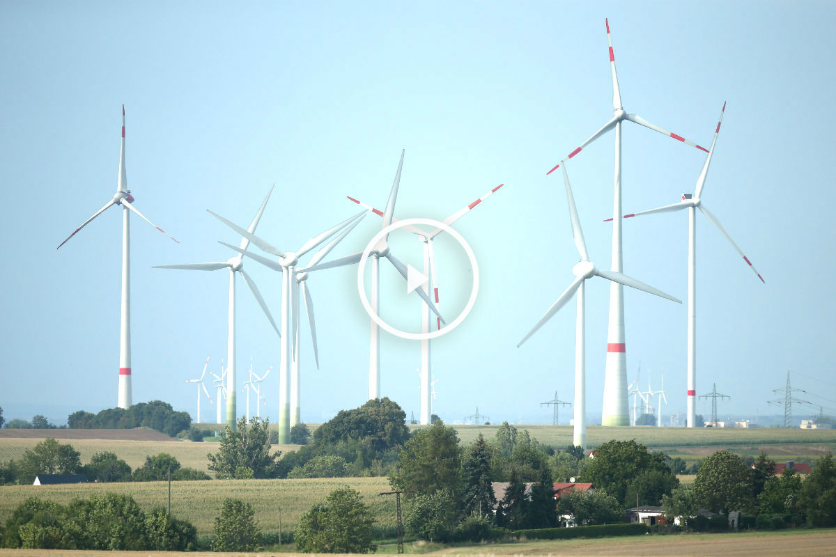 Molinos de viento para generar electricidad (Foto: Getty).