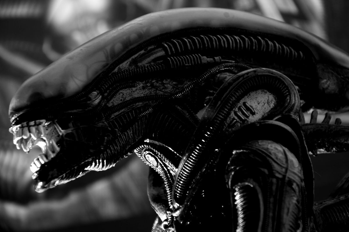 Un fotograma de la primera entrega de Alien, estrenada en 1979