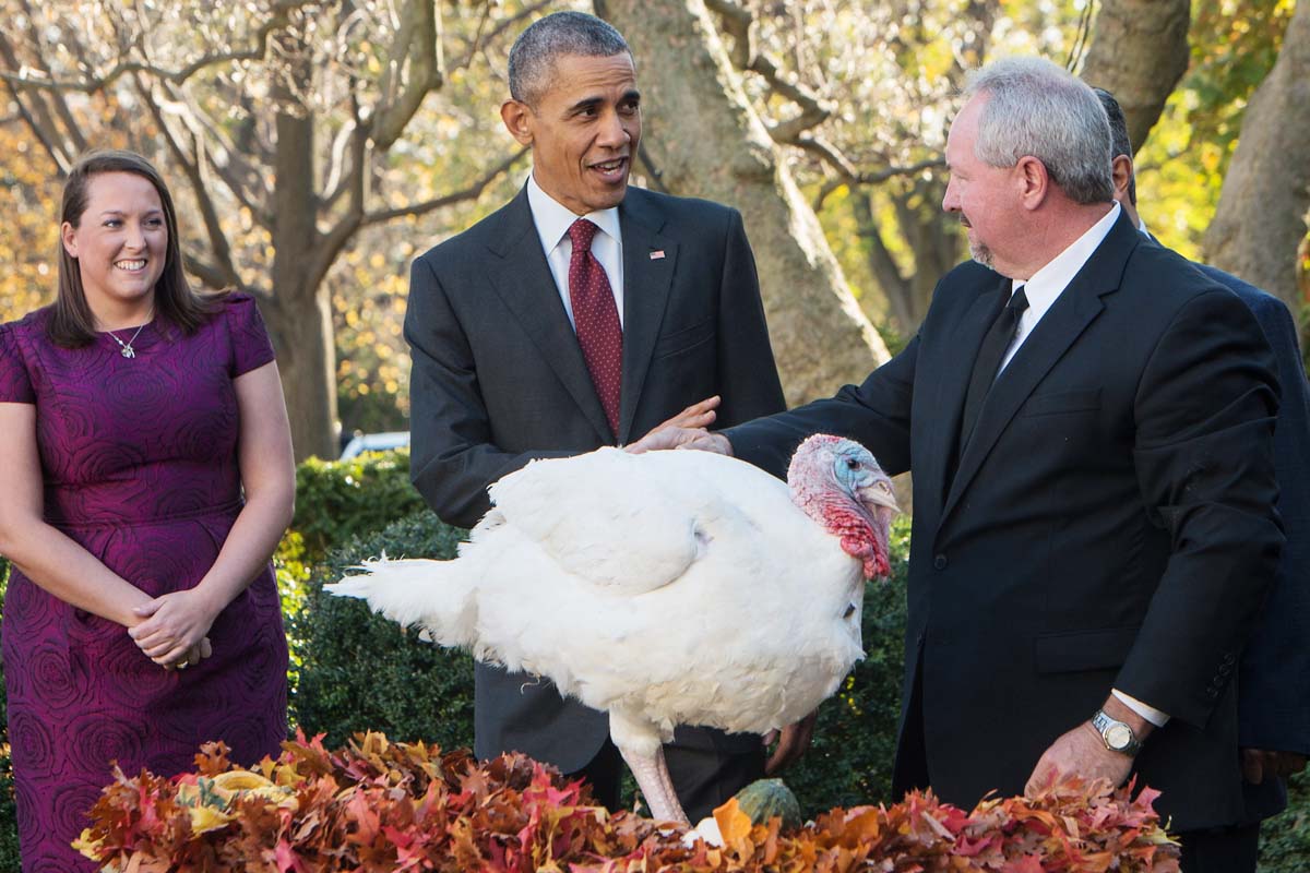 Obama durante el acto de perdón del pavo del Día de Acción de Gracias. (Foto: AFP)