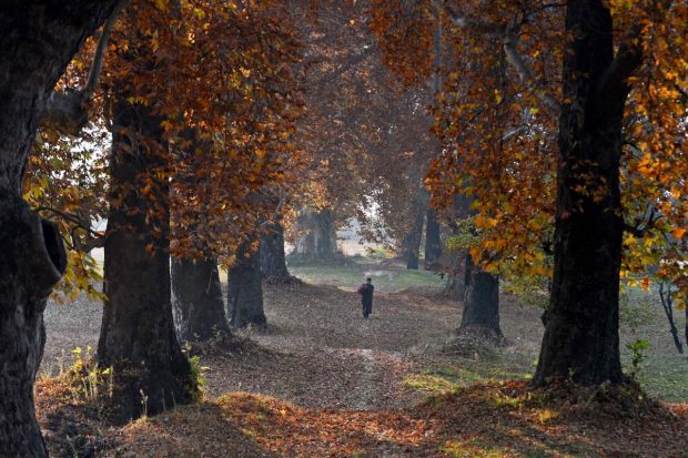 Cachemira-India-otoño