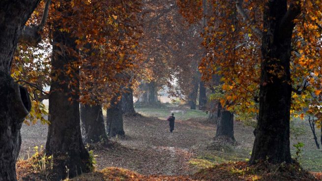 Cachemira-India-otoño