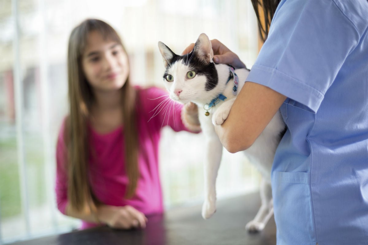 La responsabilidad de mantener un animal sirve para mejorar el autoestima (Foto: GETTY/ISTOCK).