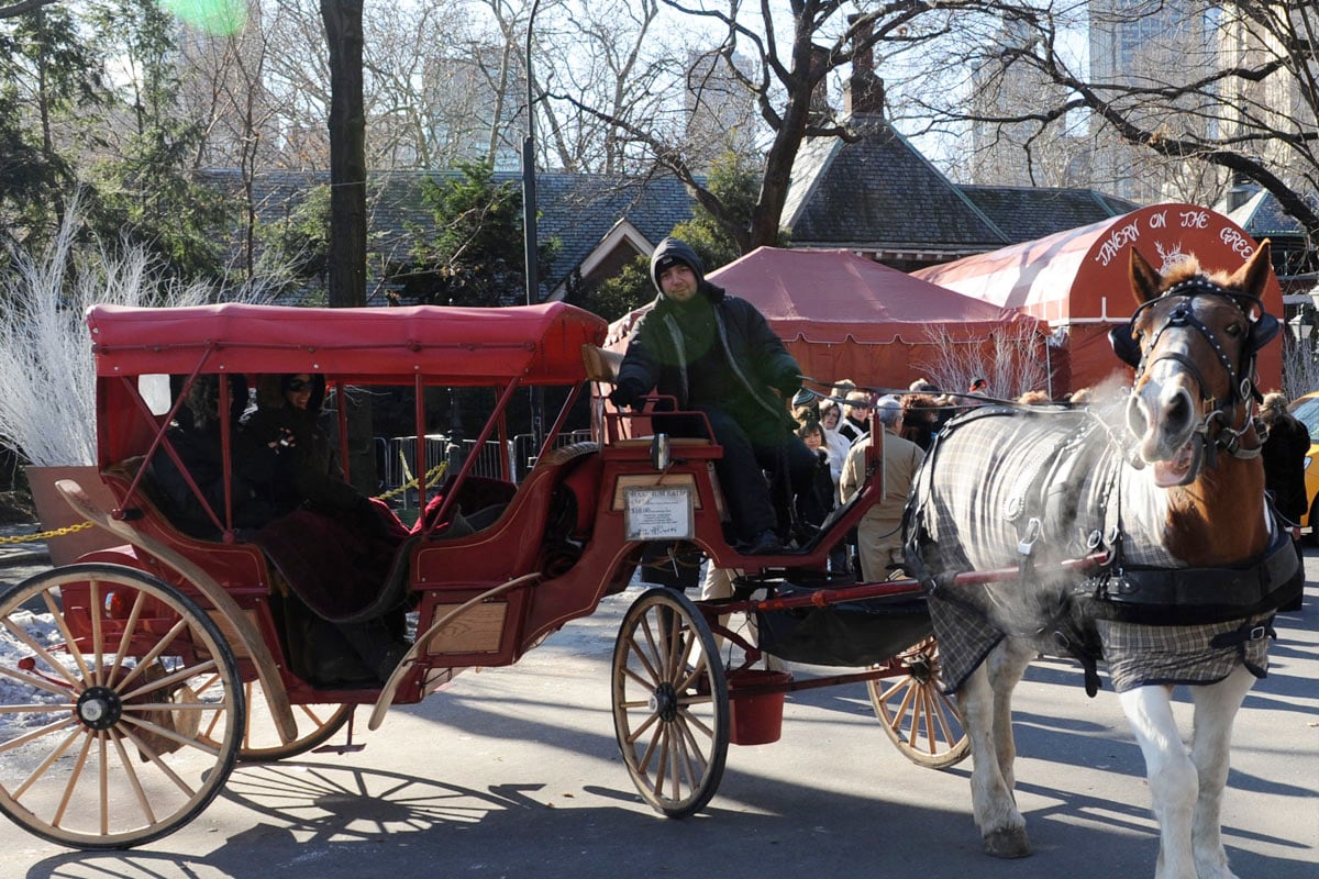 Carruaje en Central Park. (Foto: AFP)