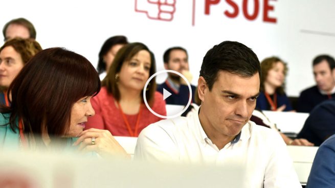 Pedro Sánchez-Podemos