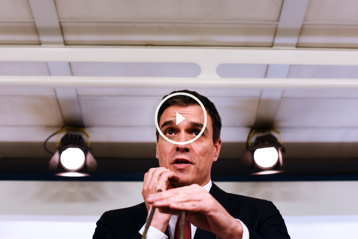 pedro-sanchez