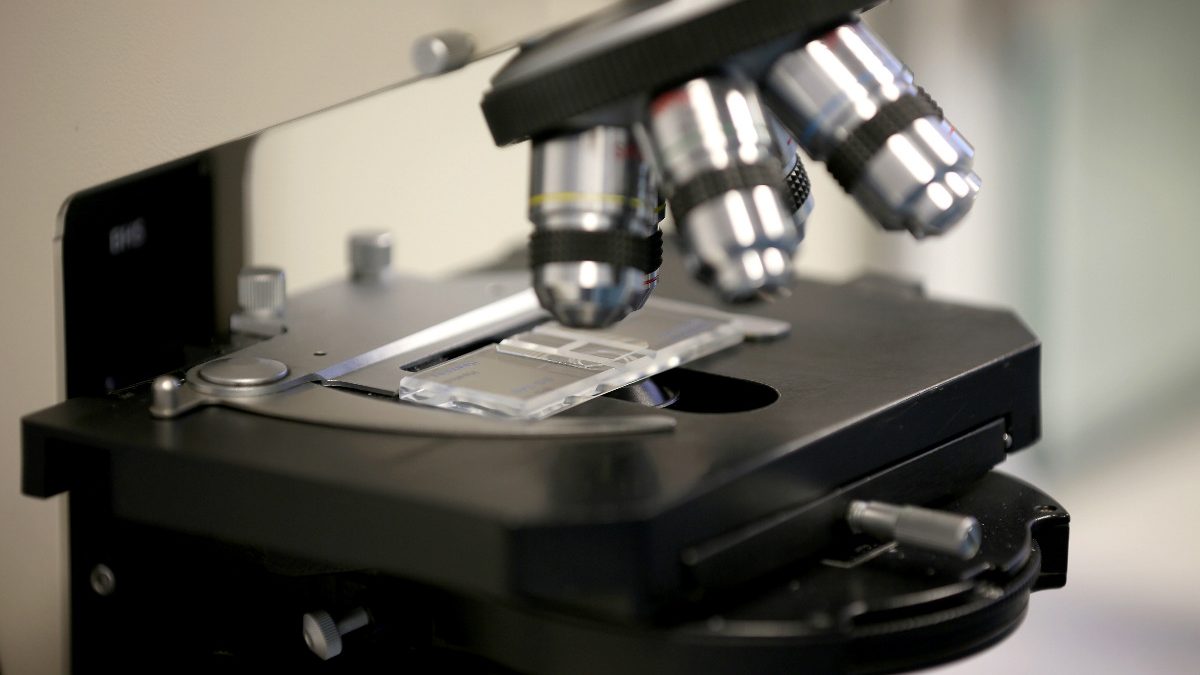Investigación con células madre para curar la impotencia sexual Foto: Getty