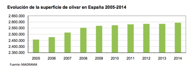 superficie de olivar