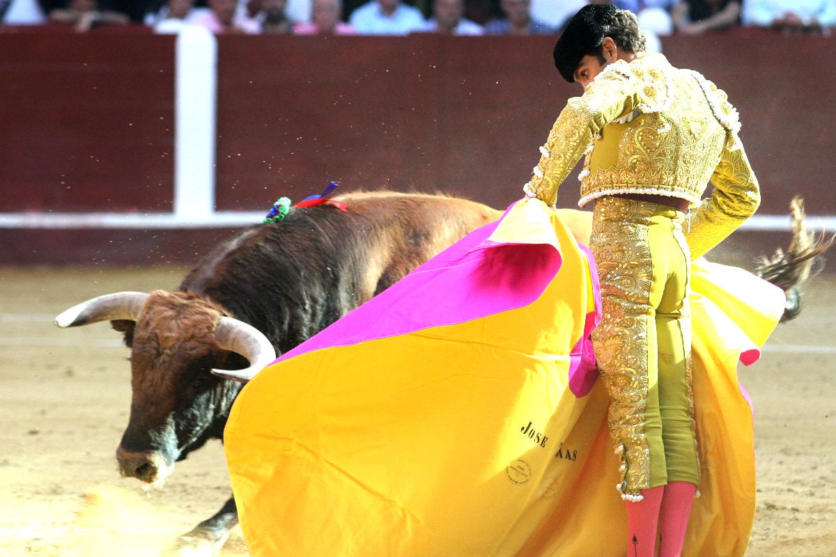 José Tomás en una imagen de archivo (Foto: AFP).