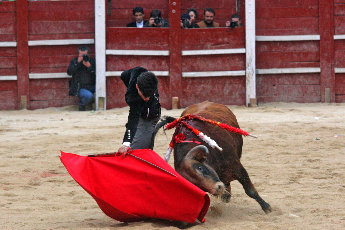 El novillero Álvaro Lorenzo durante un  festejo taurino. (Foto: EFE)