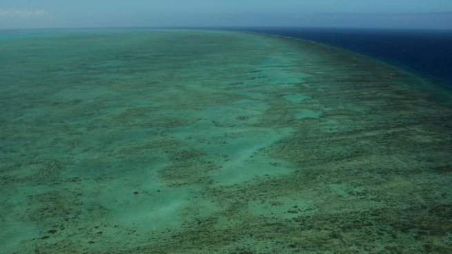 La Gran Barrera de Coral de Australia está perdiendo su color