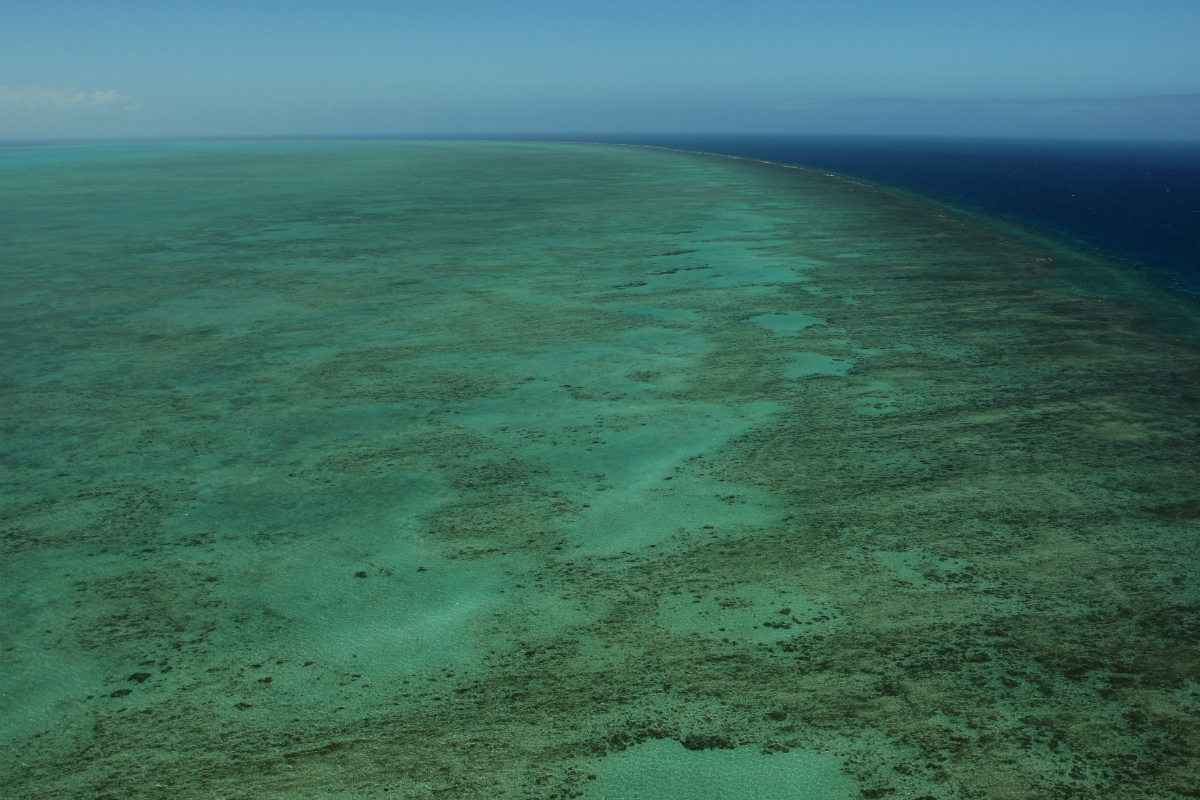 La Gran Barrera de Coral, en Australia, fue declarada Patrimonio de la Humanidad por la UNESCO en 1981. (Foto: Getty)