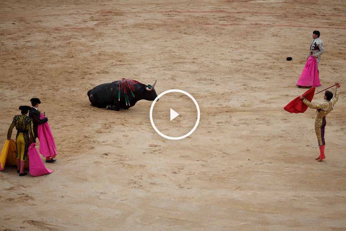toros1