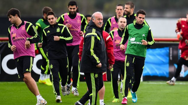 vicente-del-bosque-españa-eurocopa