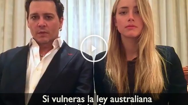 Johnny Depp y Amber Heard publican un vídeo disculpándose por introducir a sus dos perros de forma ilegal en Australia