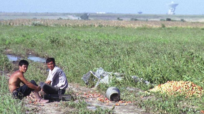 Putin decreta que cada ruso tiene derecho a recibir una hectárea de tierra gratis al este del país