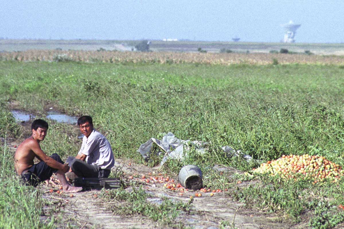 Trabajadores chinos en tierras del este de Rusia (Foto: Getty)
