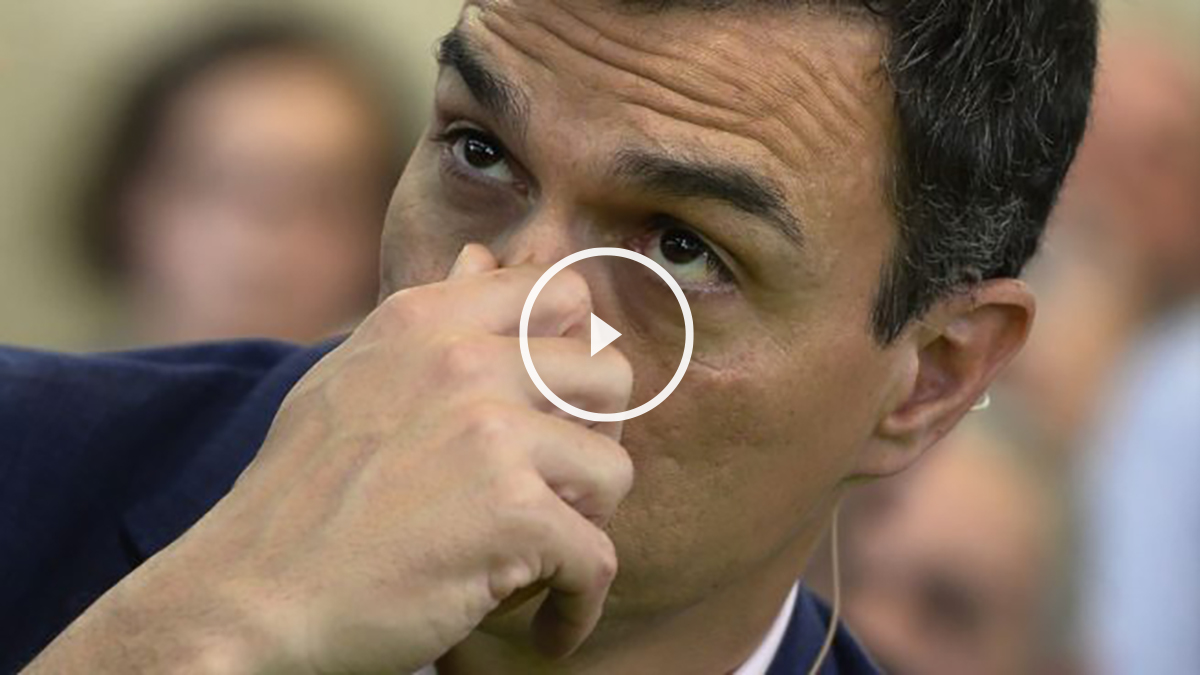 Sanchez sobre los socialistas