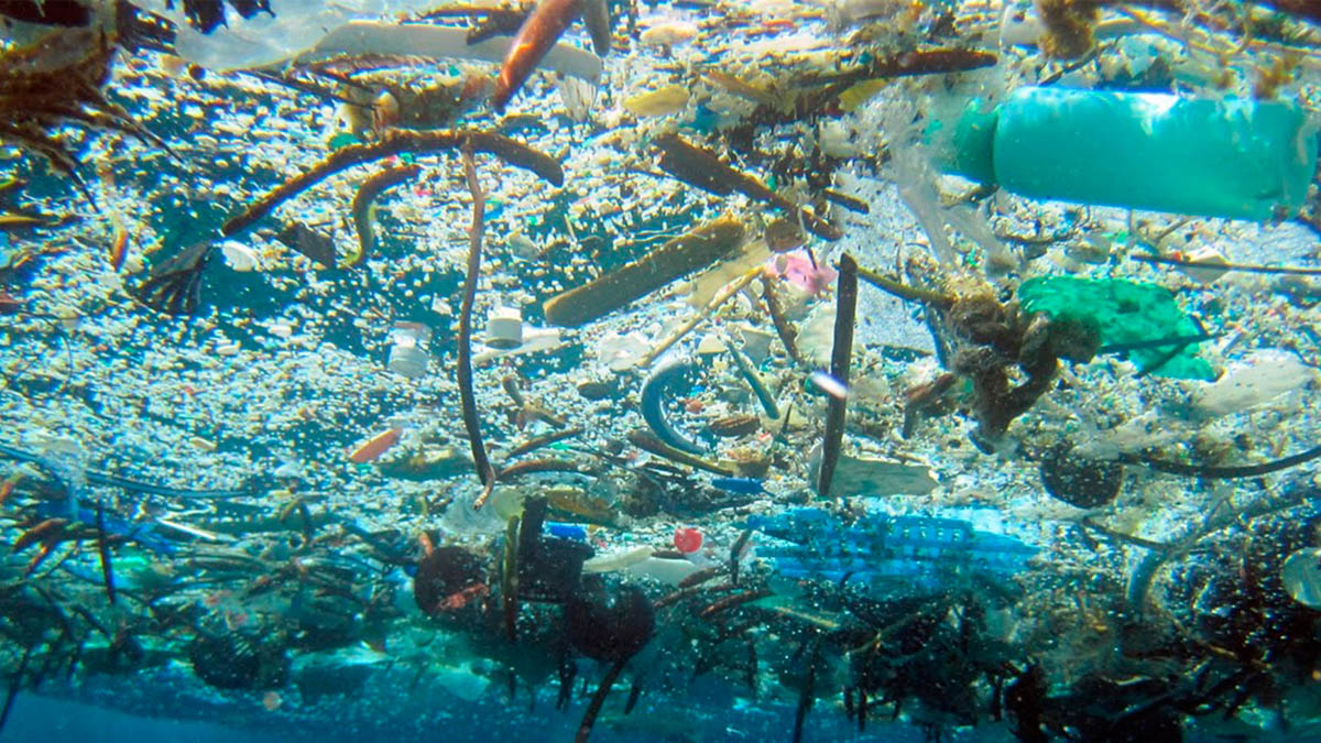Residuos plásticos en el mar. (Foto: elestimulo.com)