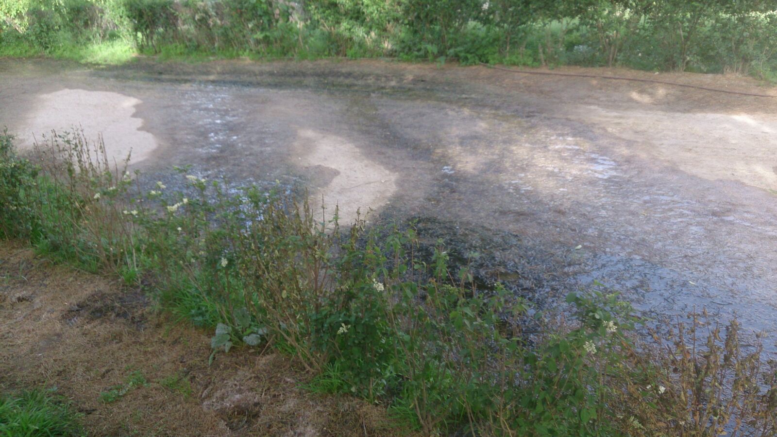 Estado actual de las aguas residuales en El Retiro que Carmena no arregla.