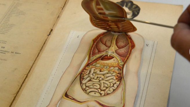 La Biblioteca Nacional inaugura una exposición sobre libros ‘pop-up’ con originales de los siglos XV al XVIII