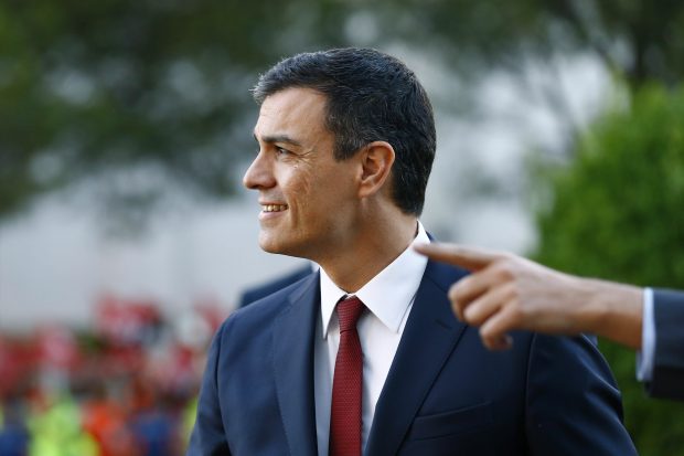 pedro sanchez