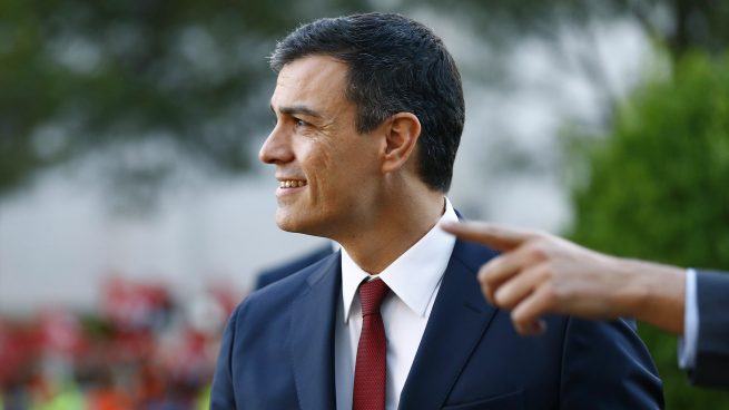 pedro sanchez