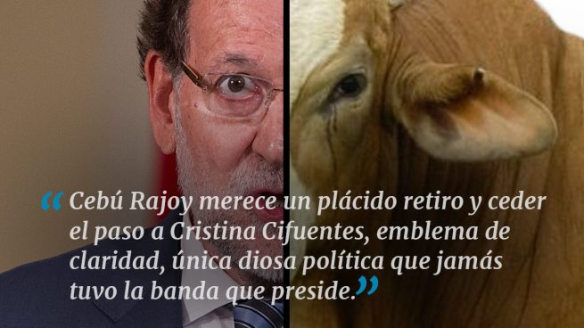 Mariano Cebú Rajoy