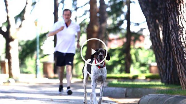 Jornada de reflexión: Rajoy pasea con su perro e Iglesias juega al baloncesto