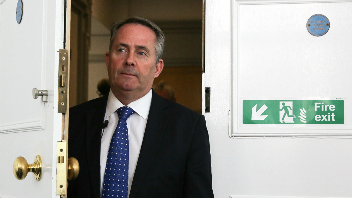 El ministro de Defensa británico, Liam Fox. (AFP)