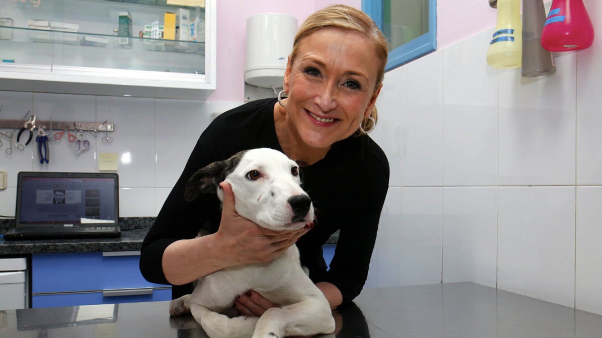 Cristina Cifuentes, Presidenta de la Comunidad de Madrid, se presenta como fiel amante de los animales y defensora de sus derechos. (Foto: Agencias)