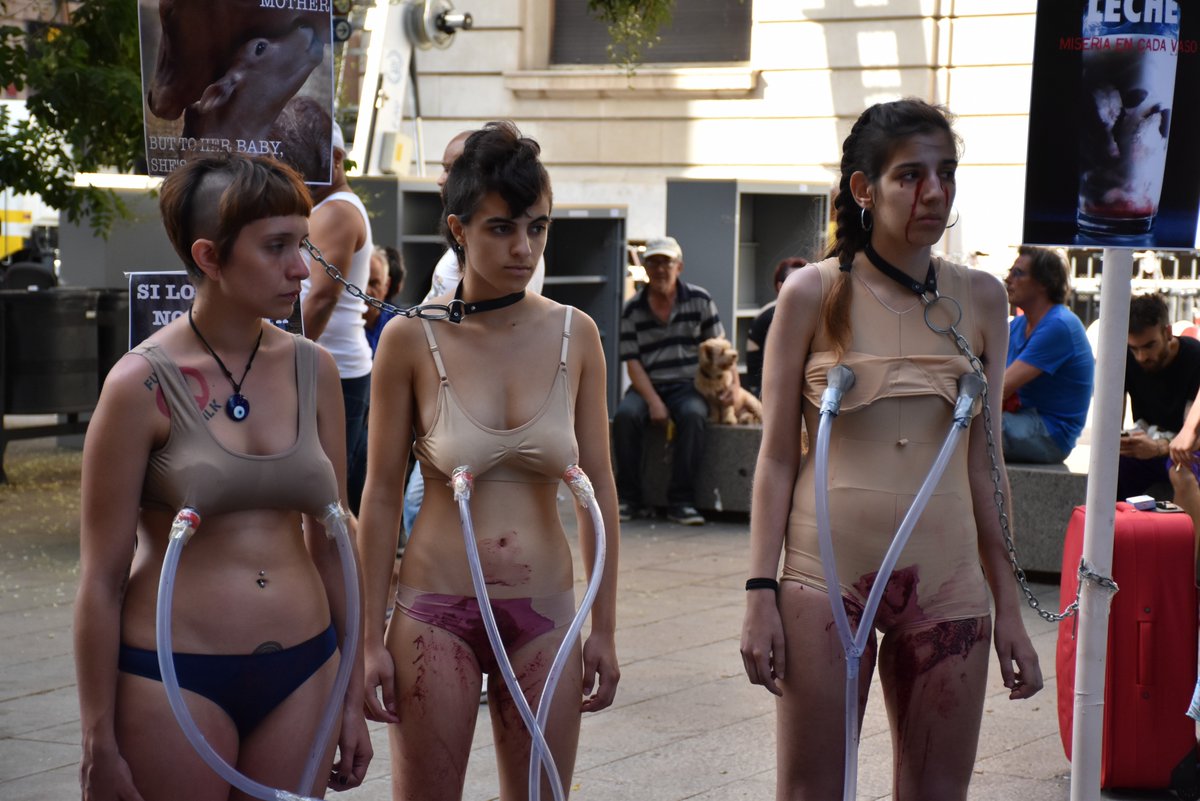 Tres de las activistas que protestaban contra el ordeño de las vacas. (Foto:PedroJSantoyo)