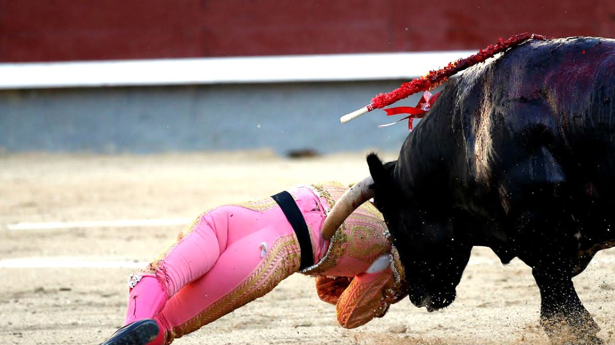 Momento de una de las cornadas sufridas por Pablo Belando (Foto: Reuters).