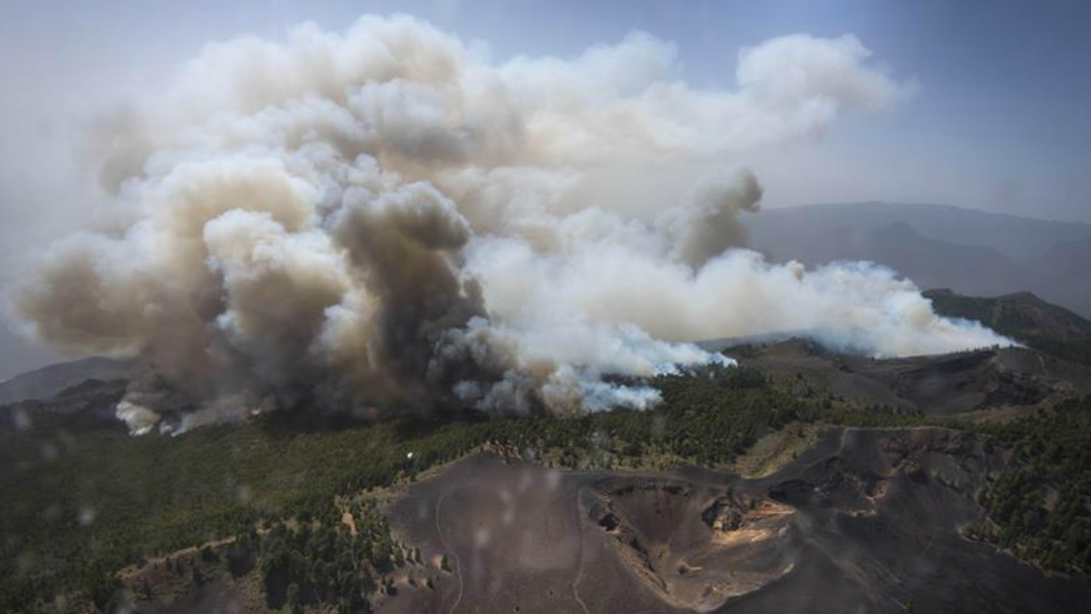 Fotografía aérea facilitada por el Gobierno de Canarias del incendio que se declaró ayer en la isla de La Palma y que afecta ya a entre 1.500 y 2.000 hectáreas de superficie. (Foto: EFE)