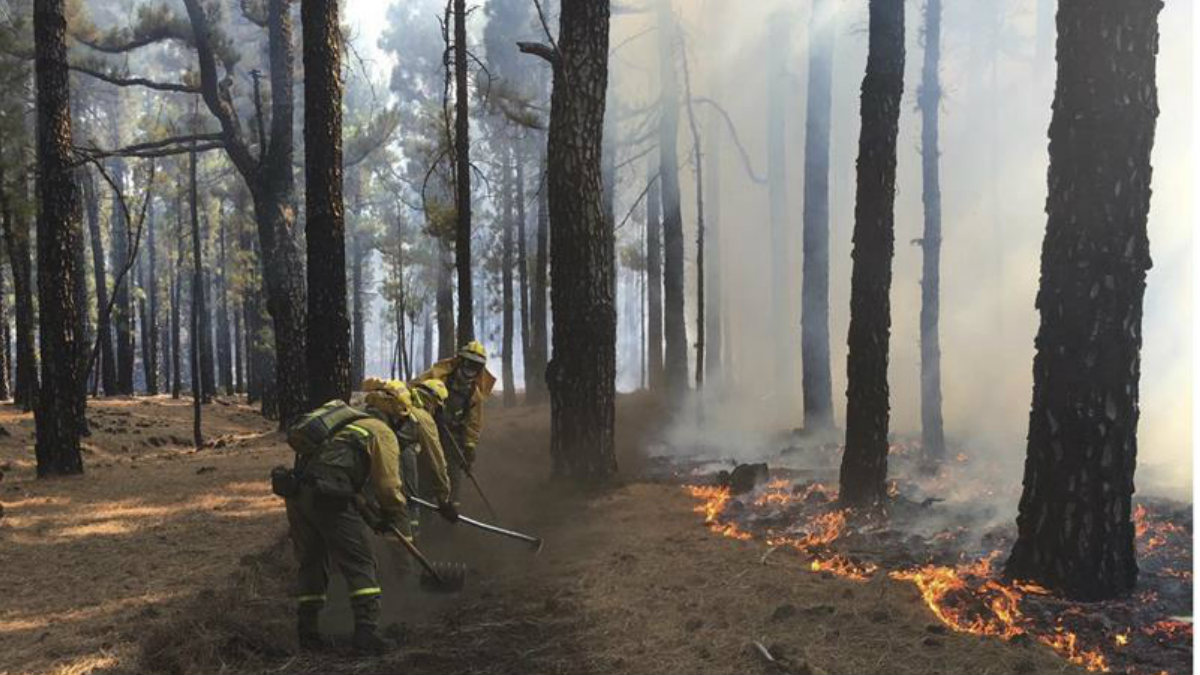 Equipos de la Guardia Forestal trabajan en las labores de extinción del terrible fuego que ha arrasado casi el 7% de la isla. (Foto: EFE)