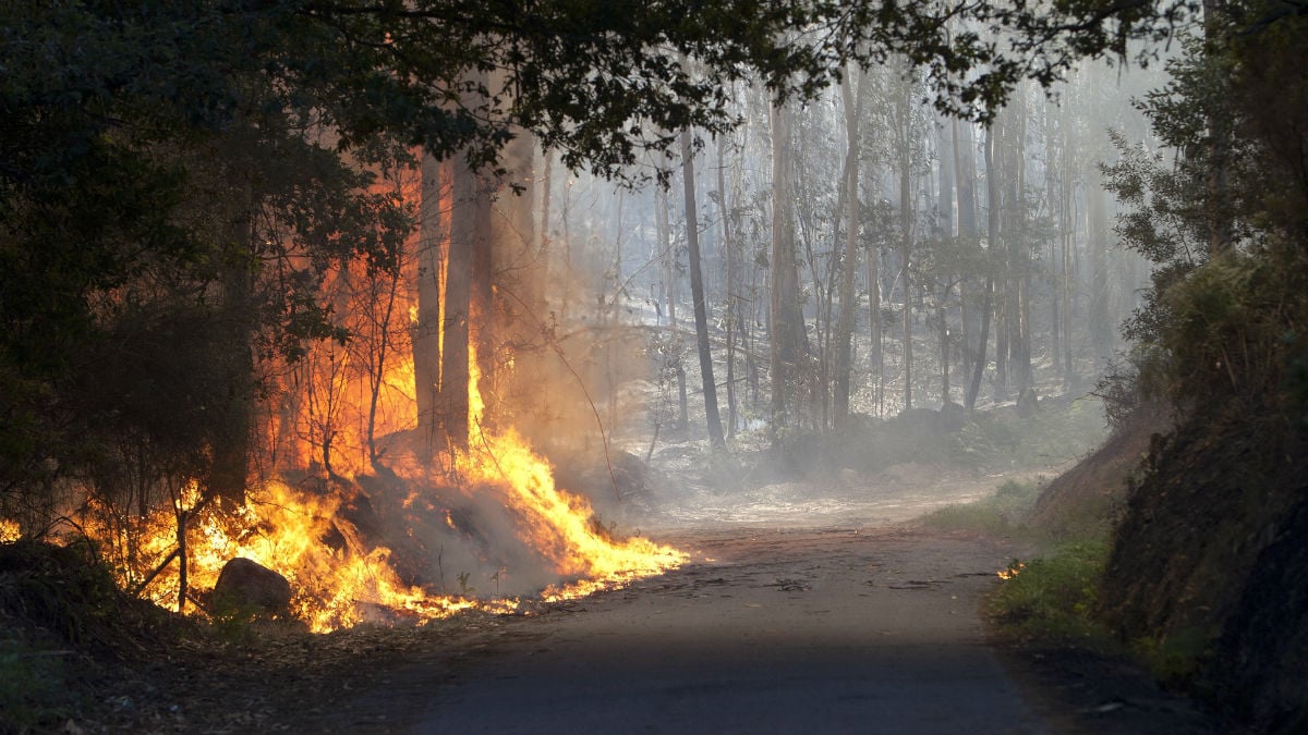 Las llamas arrasan el monte cerca de la localidad de Soutomaior, Pontevedra, este miércoles. (EFE)