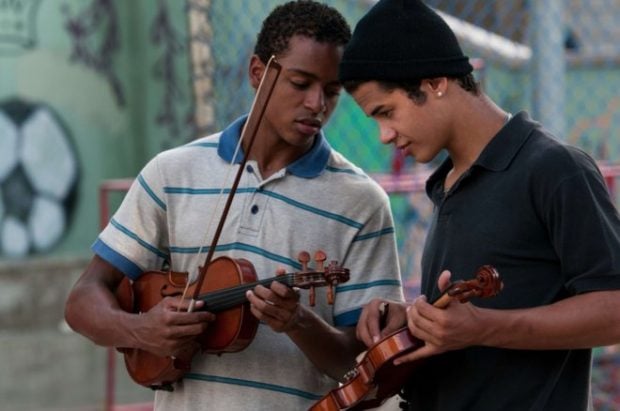 'El Profesor de Violín'