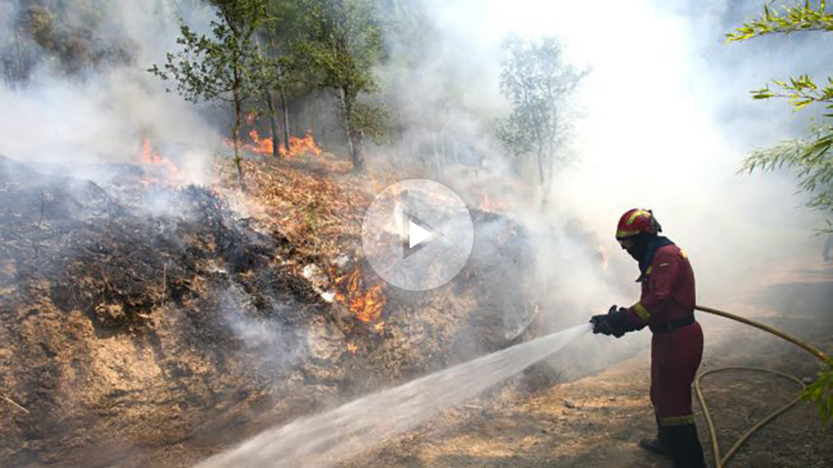 Un bombero en las labores de extinción de uno de los incendios de Galicia (Foto: Efe).