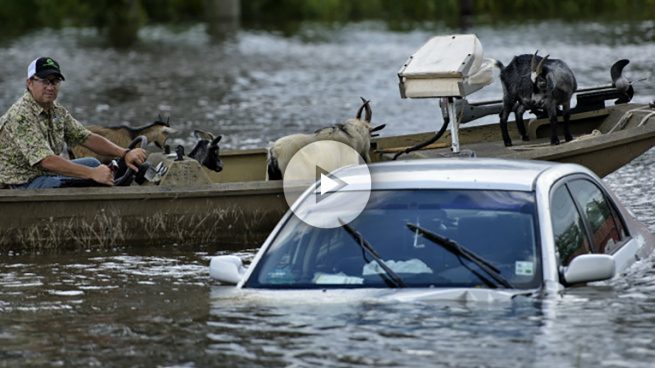 Al menos once muertos y 40.000 casas afectadas por inundaciones en el estado de Luisiana (EEUU)