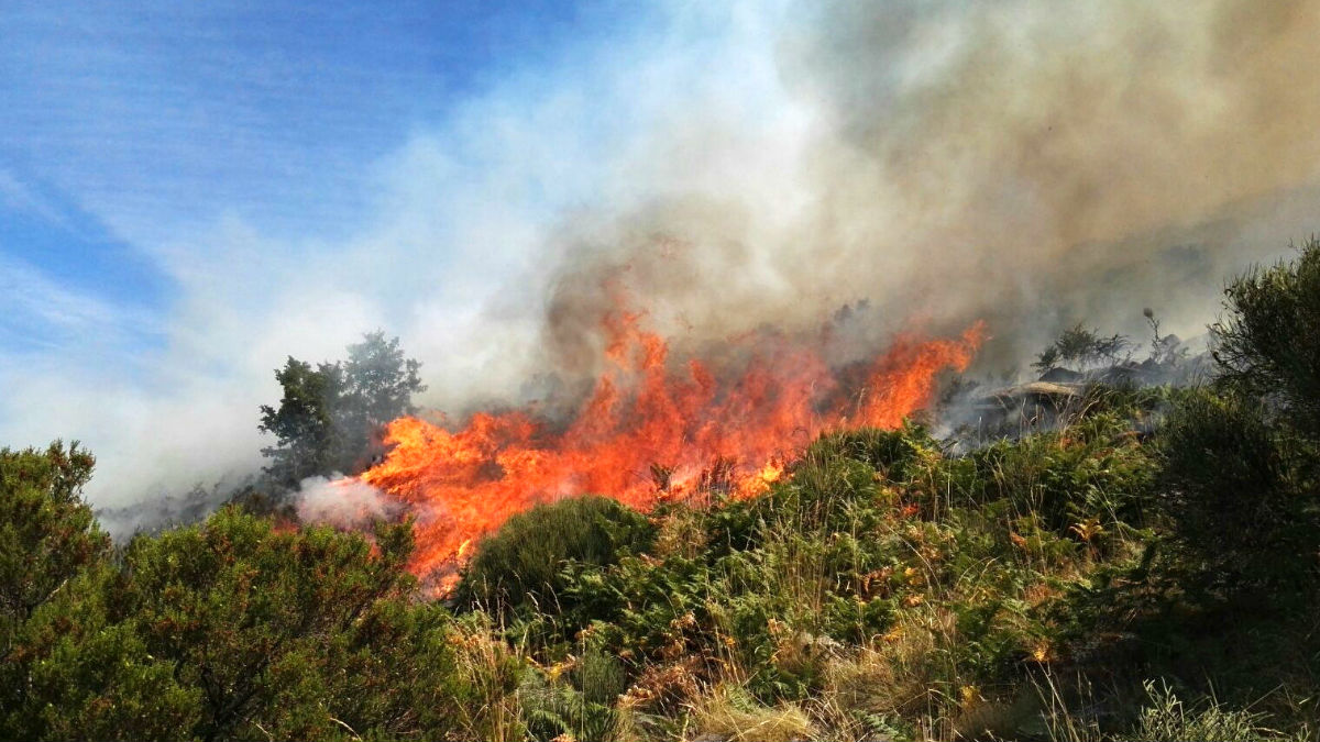 Imagen del incendio en el Valle del Jerte (Foto: Efe).